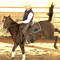 Training horses that buck, rear, bite and kick