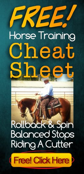 Free Horse Training Cheat Sheet