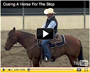 horse stop