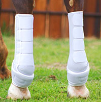Icononoclast extra tall hind boots