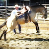 Colt Starting with a hackamore & snaffle bit