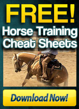 http://www.horsetrainingvideos.com/images/free-cheat-sheet-ad270b.jpg