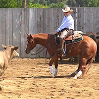 Larry Trocha at the PCCHA cutting horse futurity