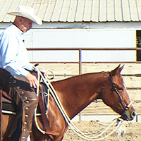 How to train a performance horse with the bosal