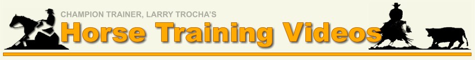 Horse Training Videos