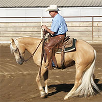 How to train your horse to lope slow with complete control