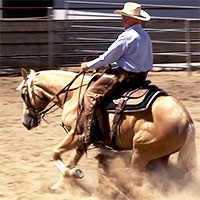 Horse being taught a reining sliding stop