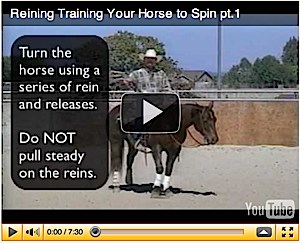 horse spin video