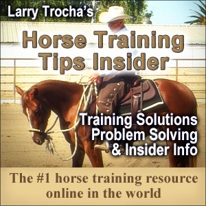 Horse training with Larry Trocha