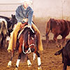 tommy-cow100