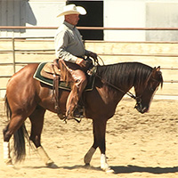 reining-training200