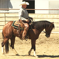 gunner-backing200