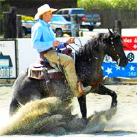 Reining horse sliding to a stop