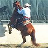 Larry demonstrating how to fix a horse that balks & rears