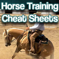 Horse training cheat sheets