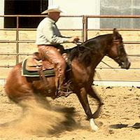 How to train a horse to rollback and spin