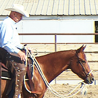 Hackamore (Bosal) Training