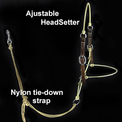 Teach your horse good head position with this HeadSetter