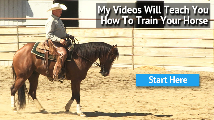 My videos teach you how to train your horse