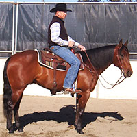 Western Riding Know How | Horse Training Videos and DVDs