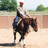 How to train a horse to rollback and spin