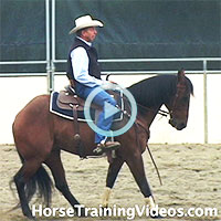 Training a horse to stop & back up