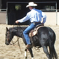 Training horses that buck, rear, bite and kick