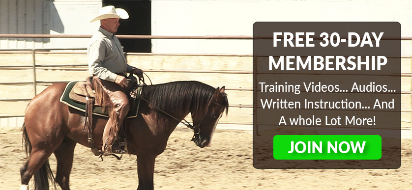 My videos teach you how to train your horse